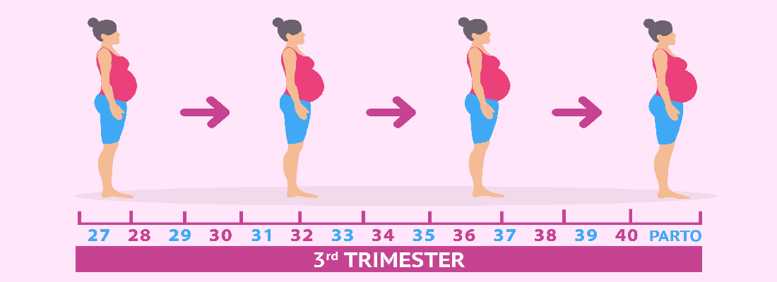 سه ماهه سوم بارداری