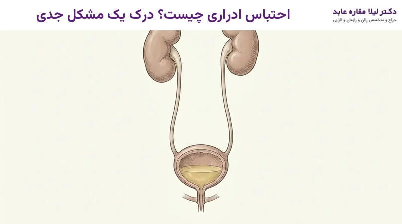 احتباس ادراری چیست؟ درک یک مشکل جدی