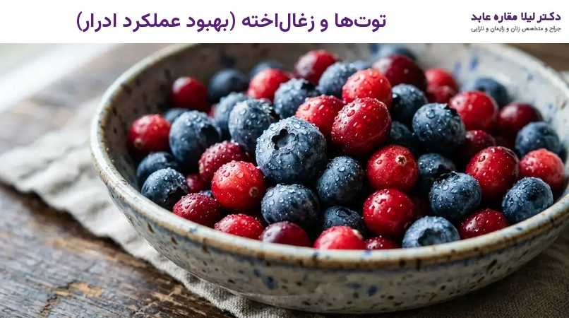 توت‌ها و زغال‌اخته (بهبود عملکرد ادرار)
