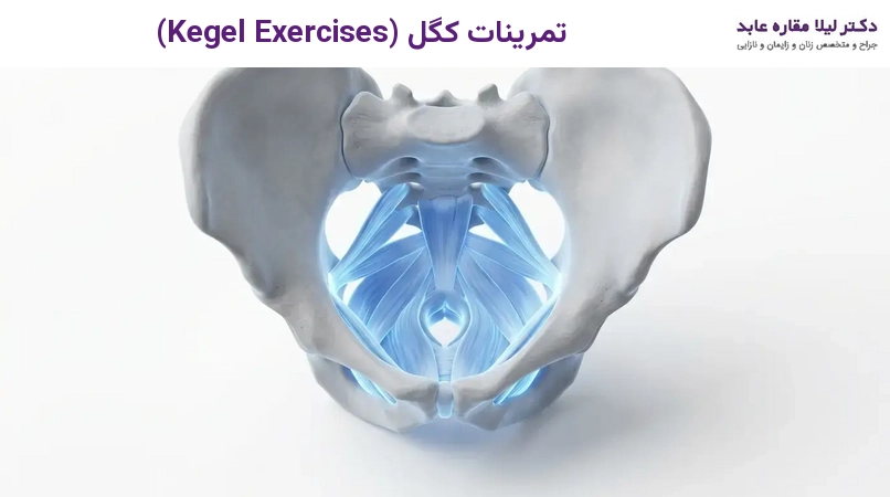 تمرینات کگل (Kegel Exercises)