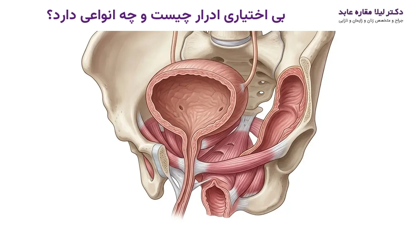 بی اختیاری ادرار چیست و چه انواعی دارد؟