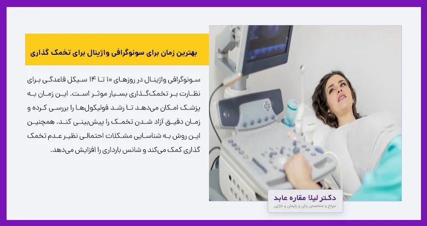 بهترین زمان برای سونوگرافی واژینال برای تخمک گذاری 