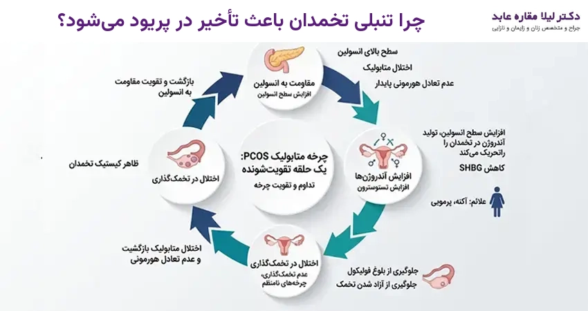 چرا تنبلی تخمدان باعث تأخیر در پریود می‌شود؟