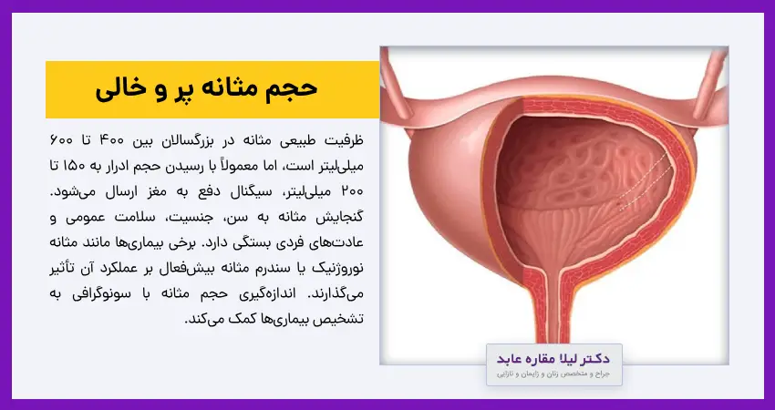 حجم مثانه پر و خالی
