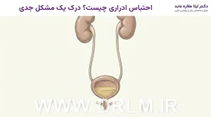 احتباس ادراری چیست؟ درک یک مشکل جدی