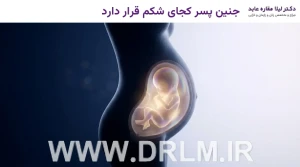 جنین پسر کجای شکم قرار دارد