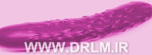 پاپول تناسلی
